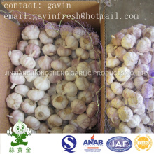 Low Price Fresh Normal White Garlic5.0cm